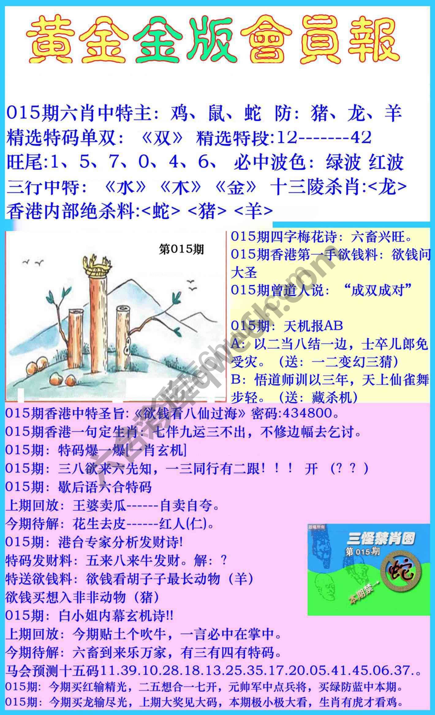 黄金金版会员报