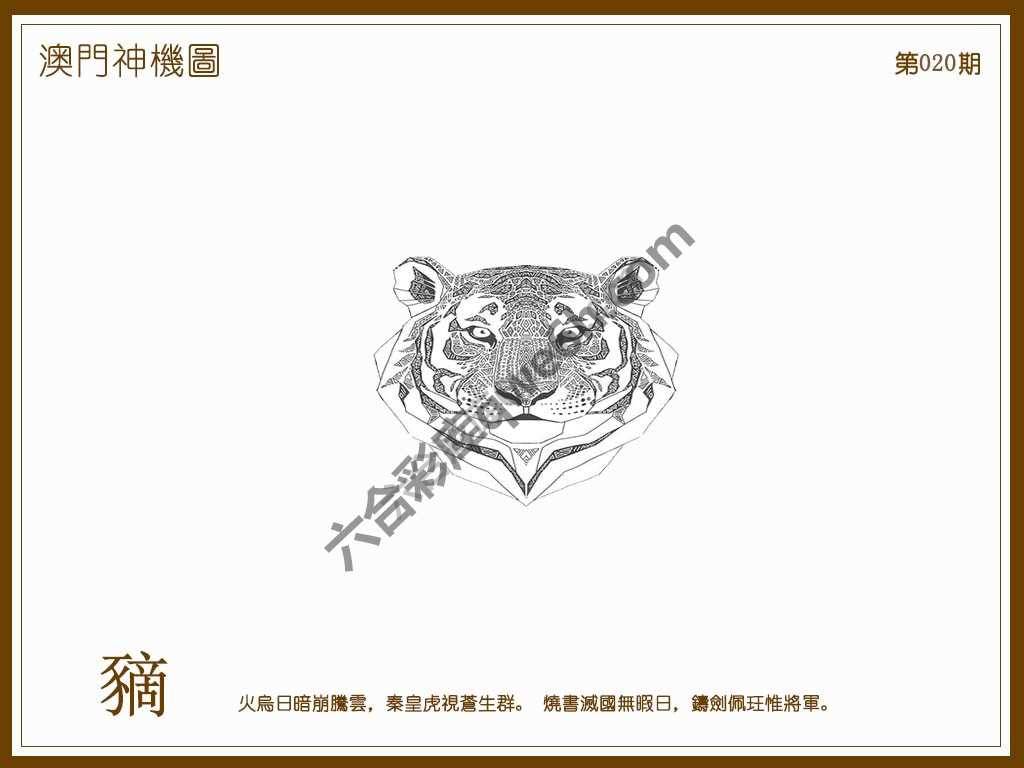 澳门神机图