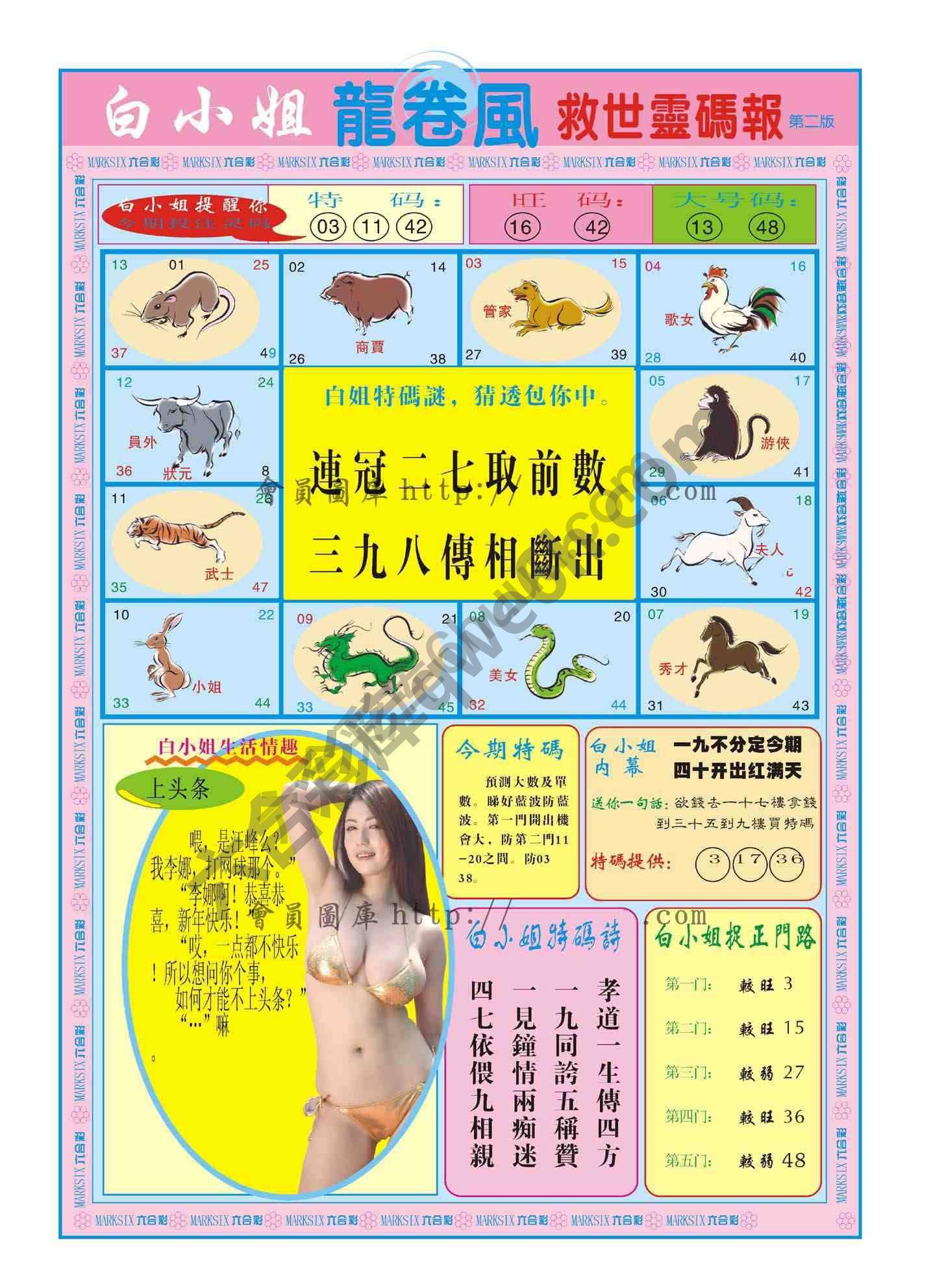 白小姐救世灵码报