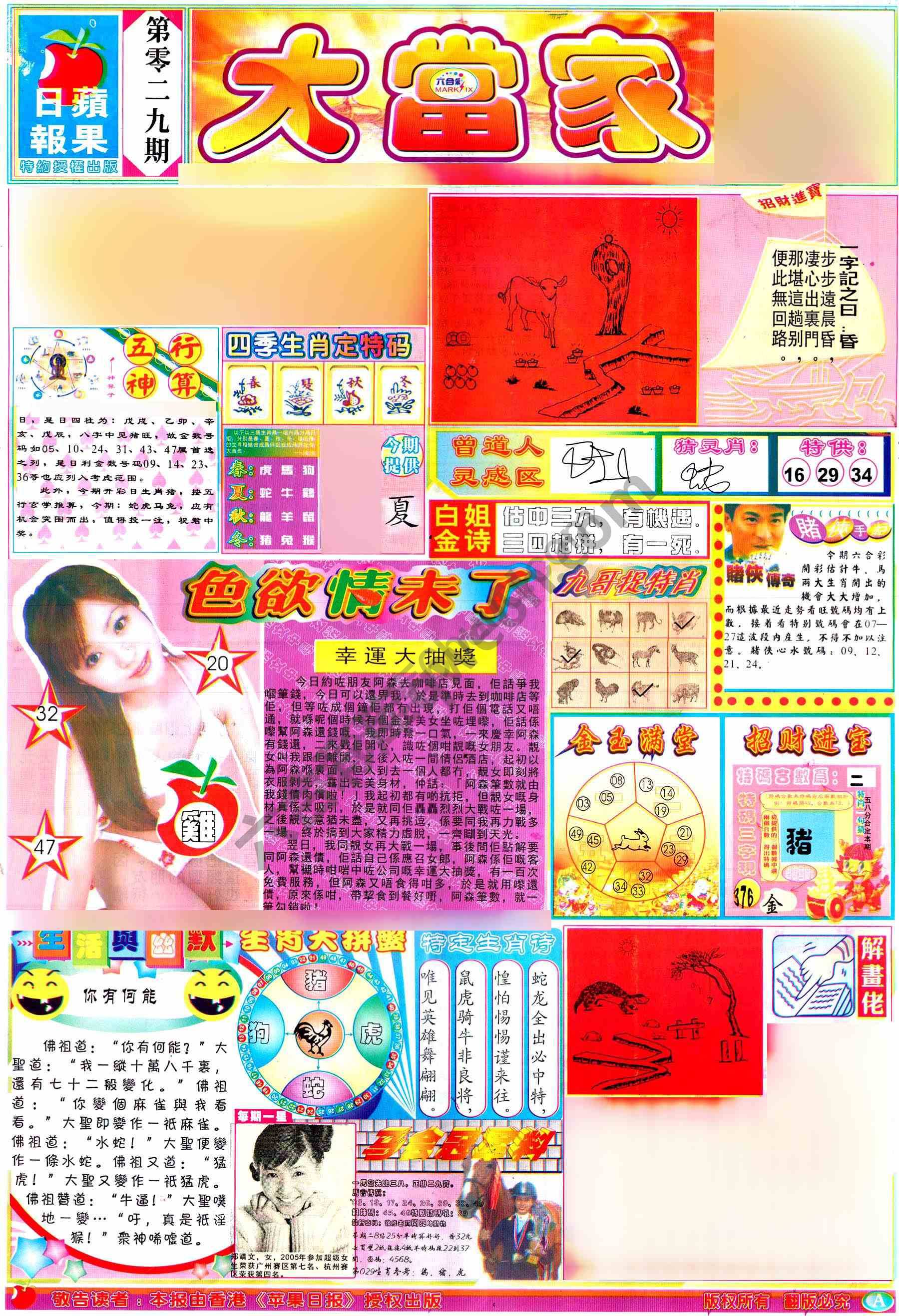 大当家
