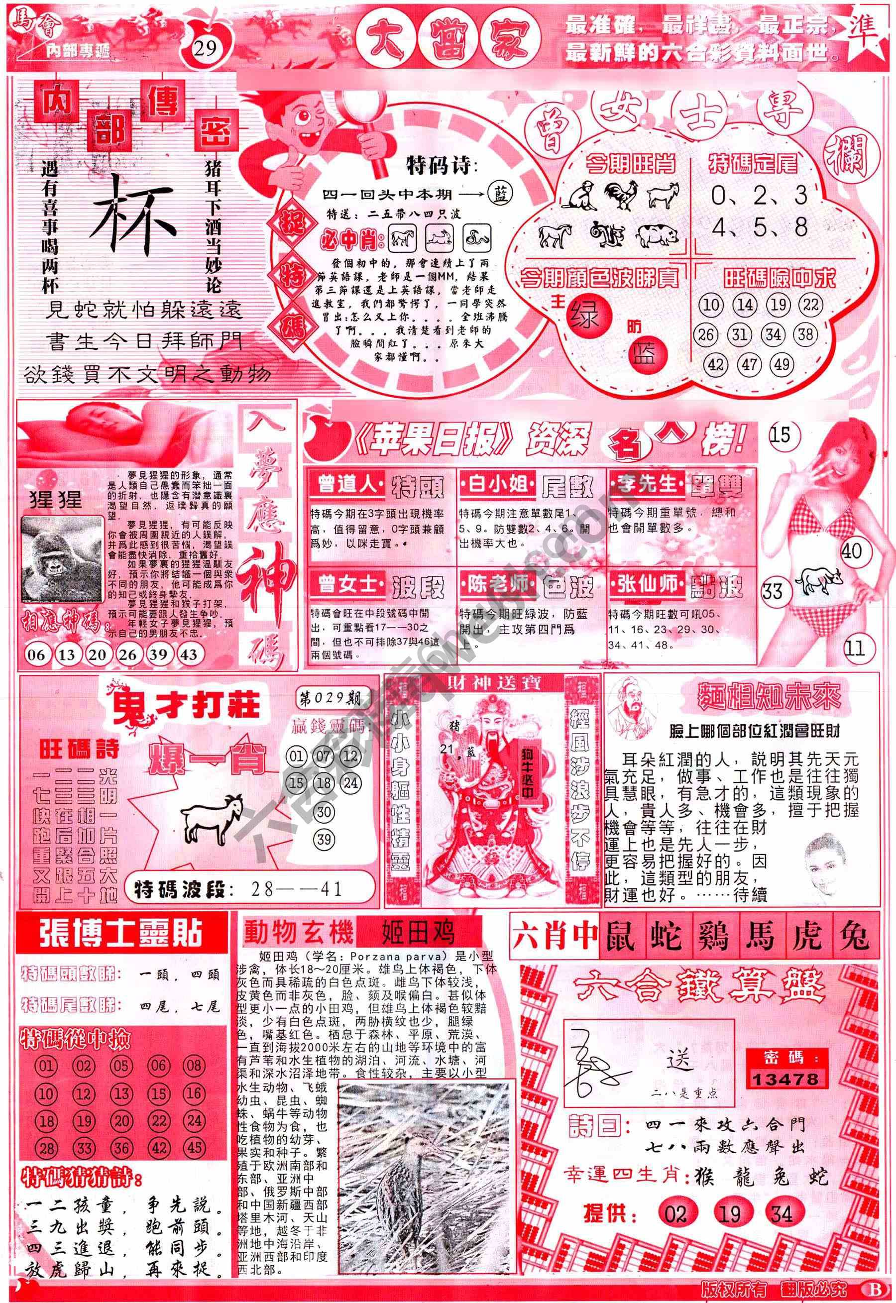 大当家