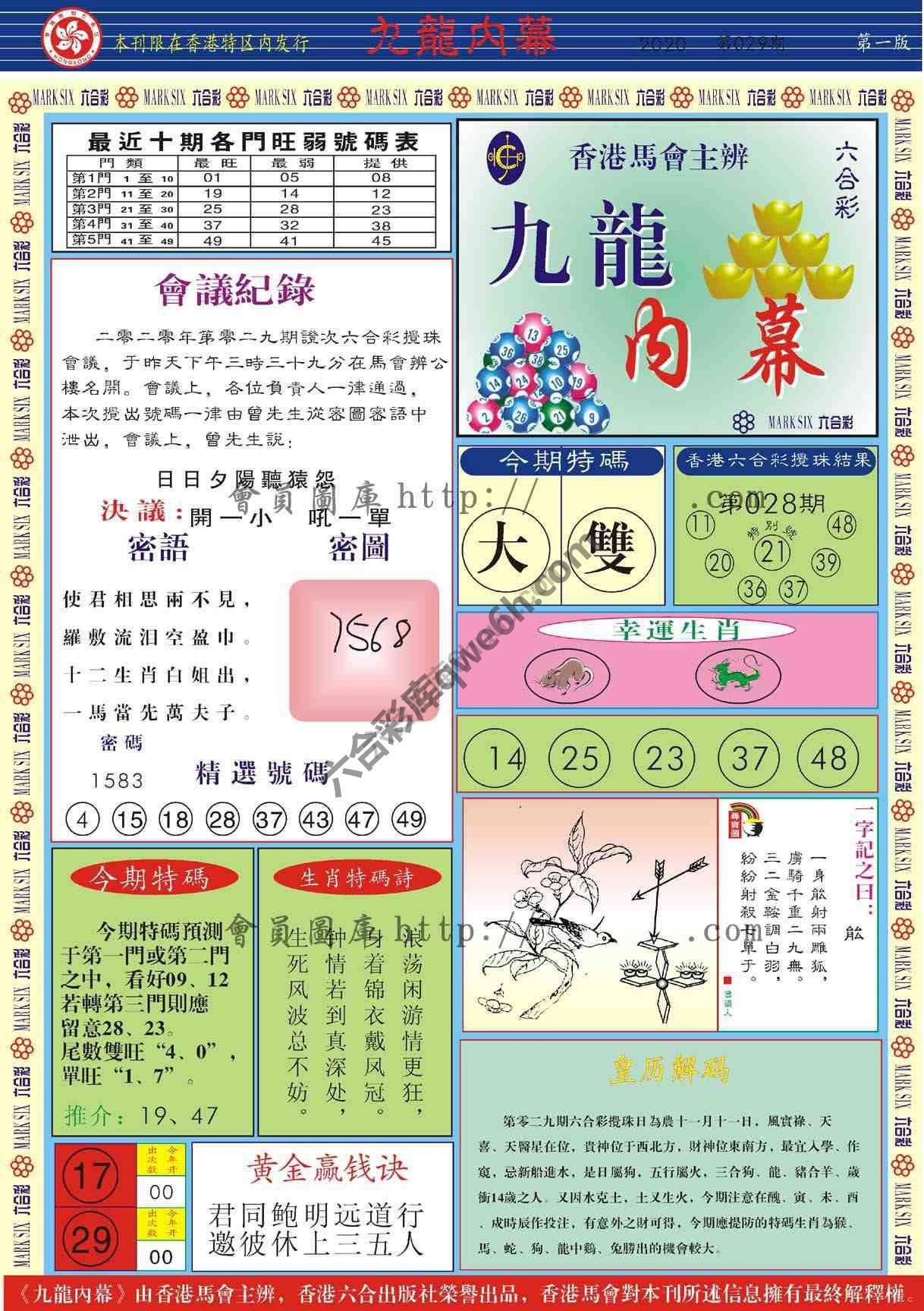九龙内幕