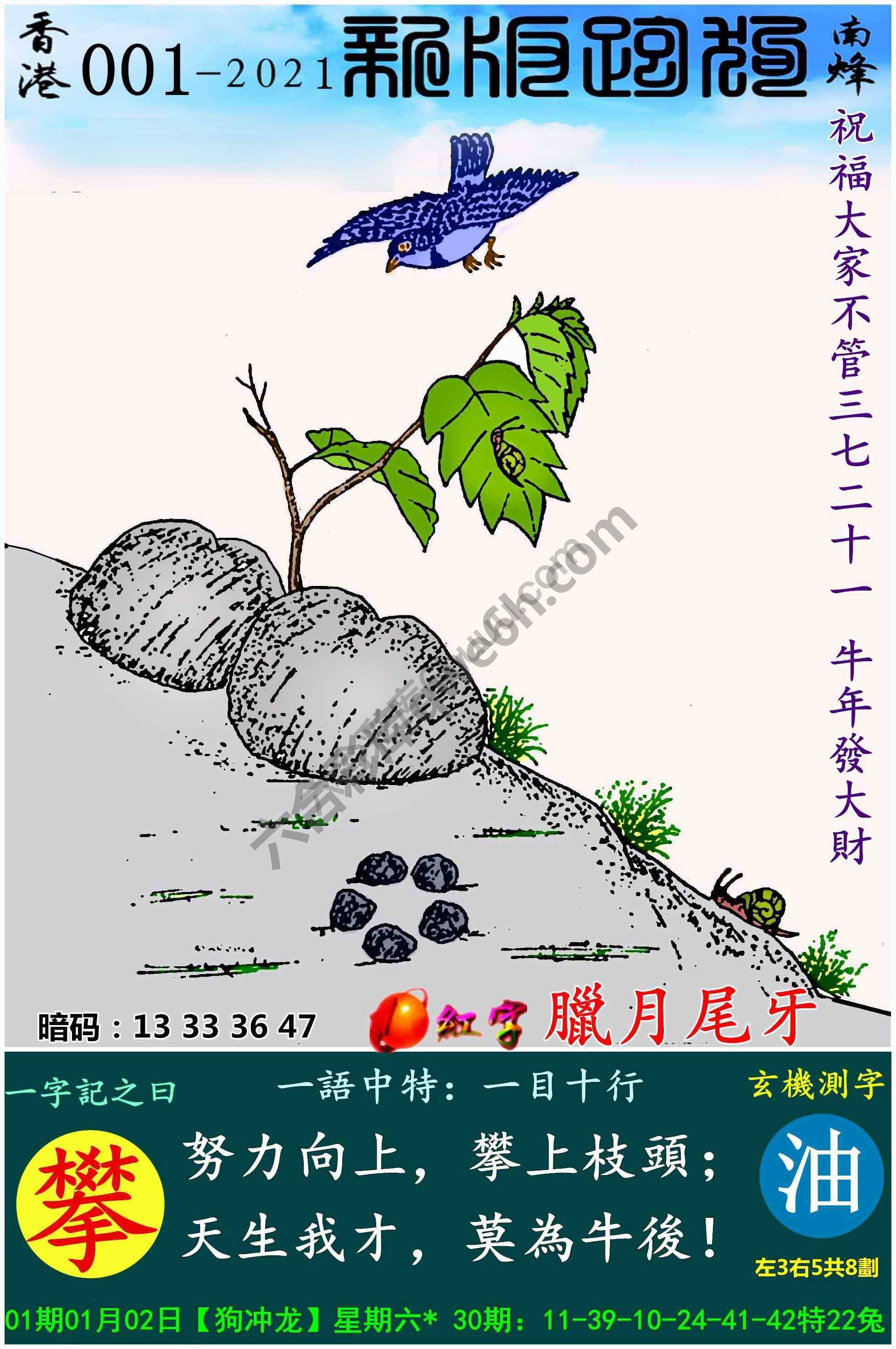 跑狗图（新版）