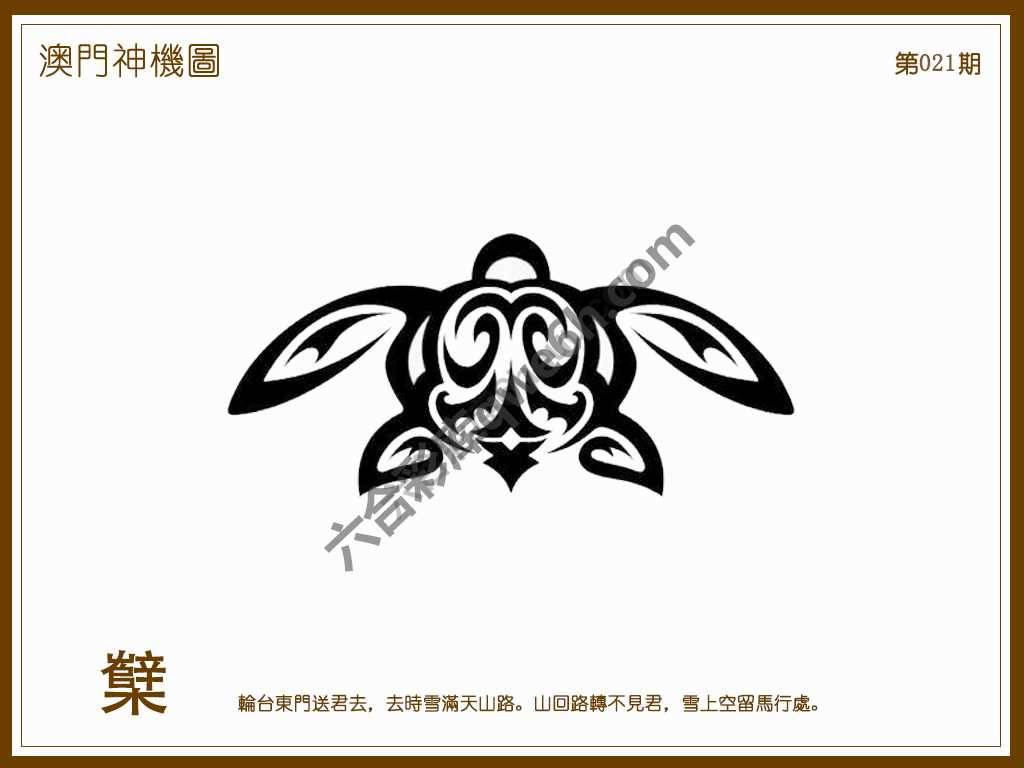 澳门神机图
