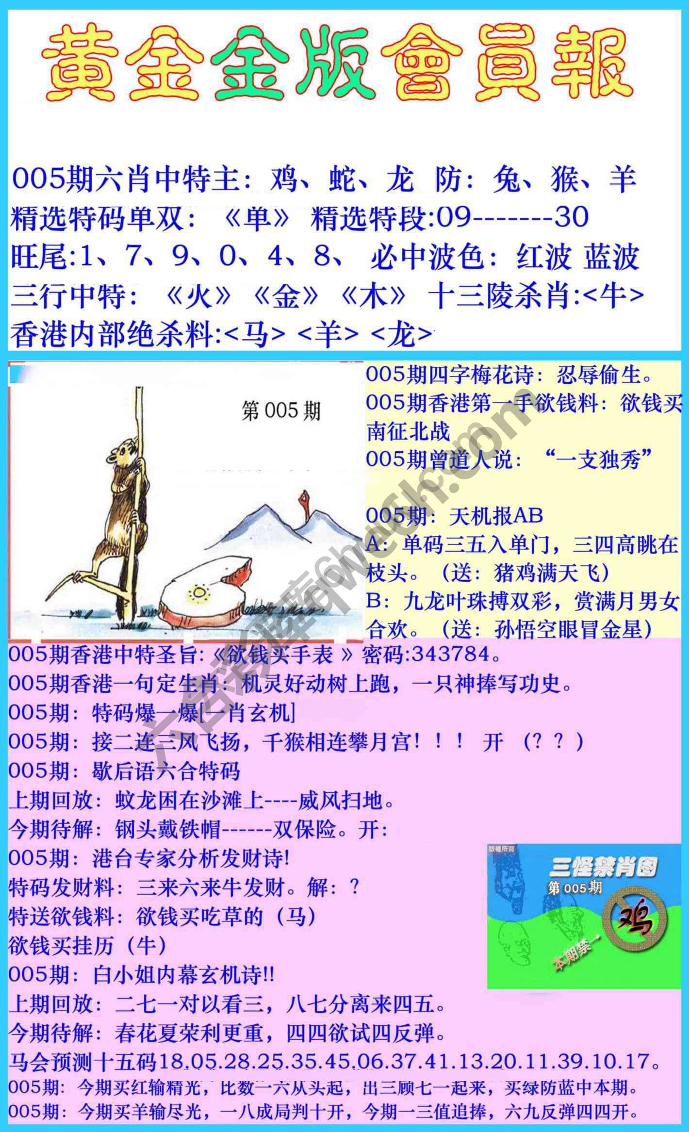 黄金金版会员报