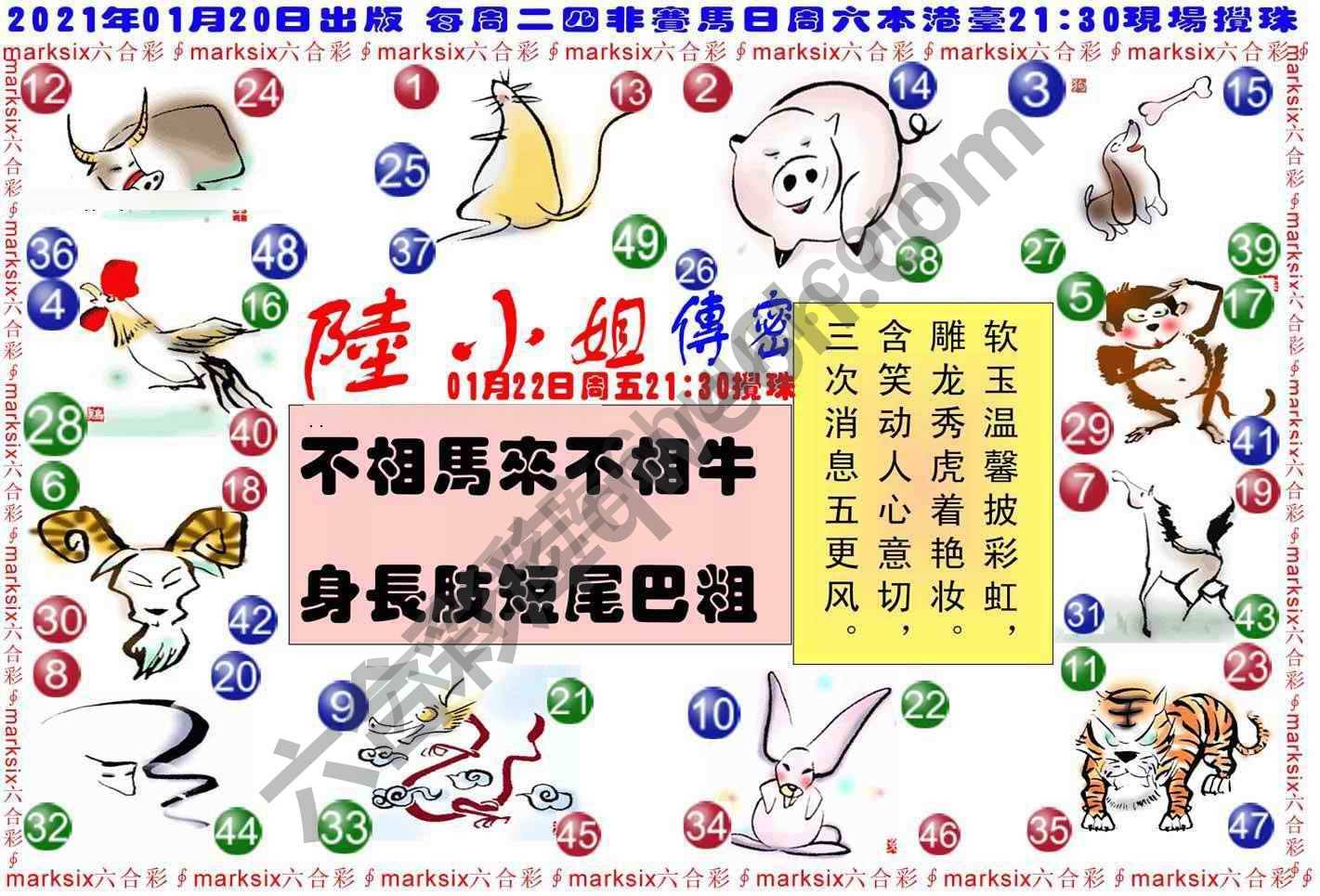 陆小姐传密