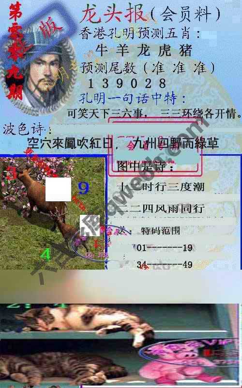 龙头报