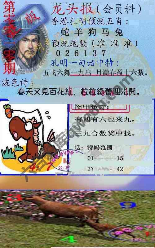 龙头报