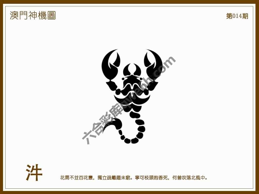 澳门神机图