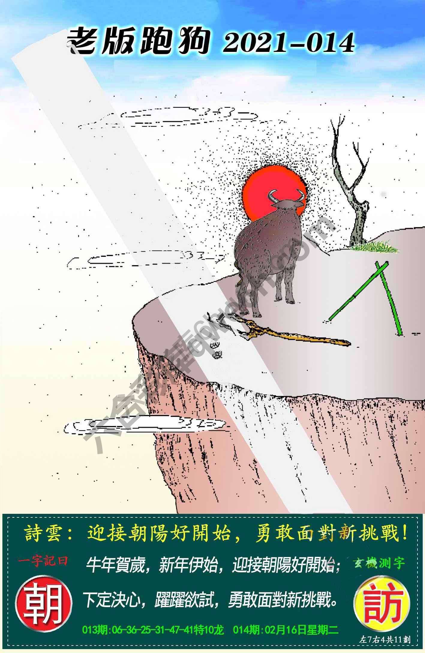 老版跑狗图