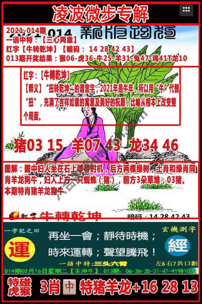 凌波微步解跑狗
