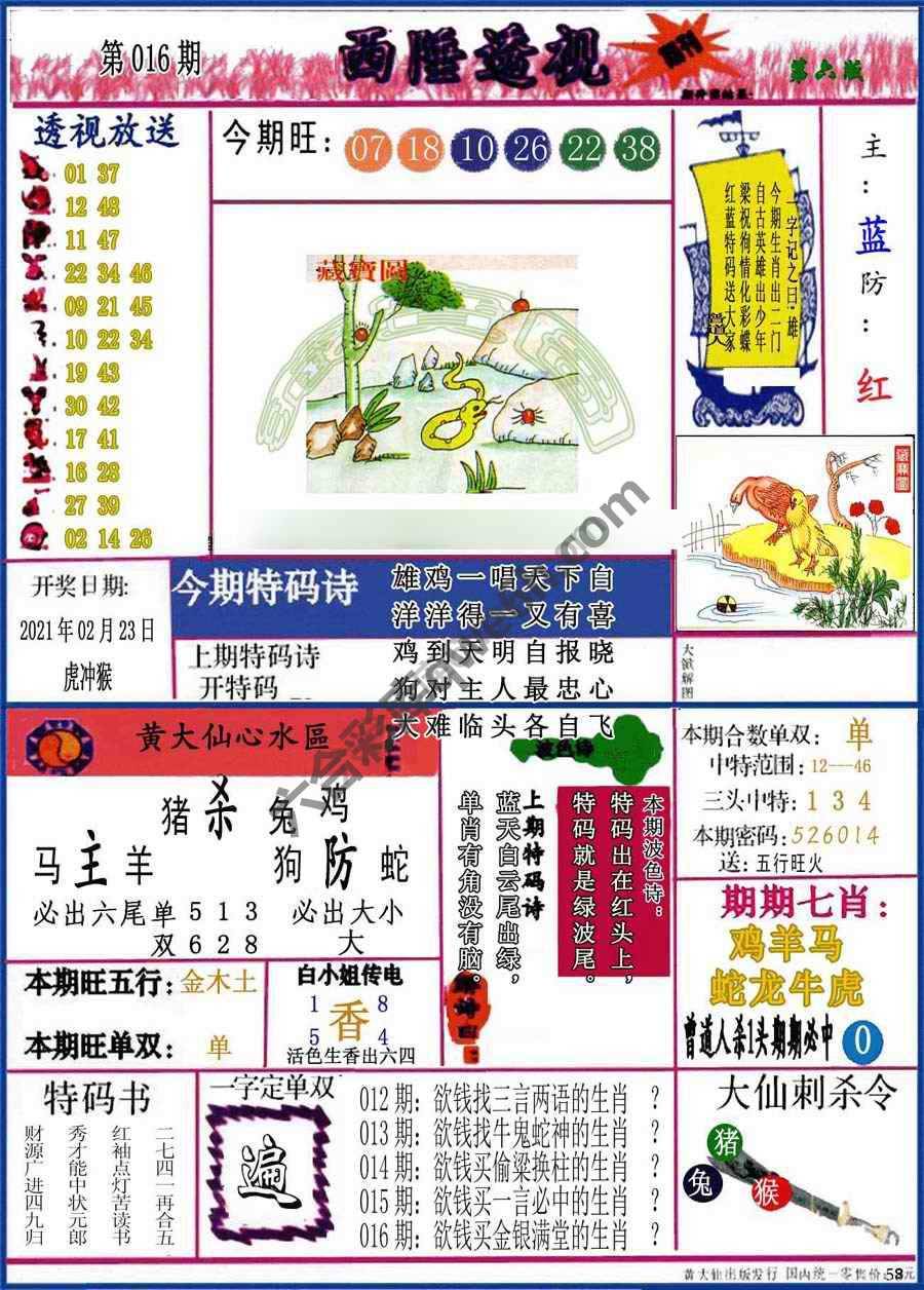 西陲透视（正版）