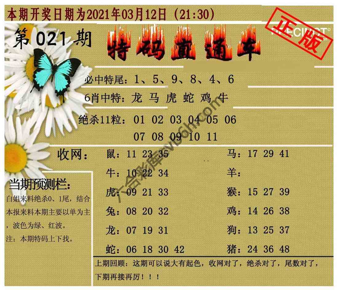 特码直通车