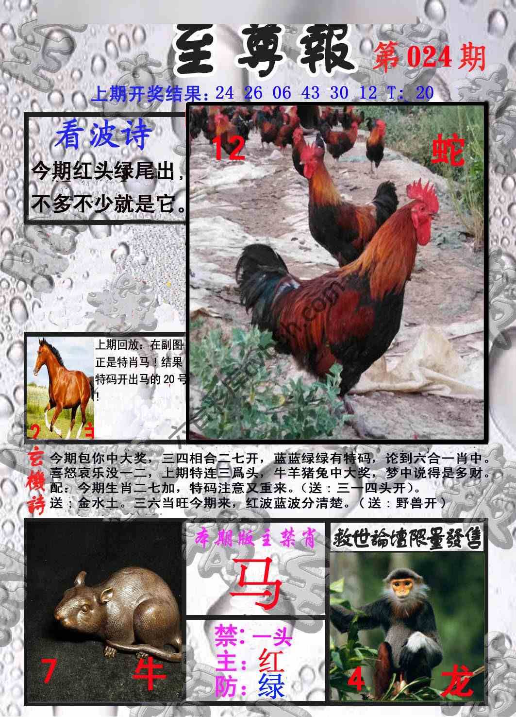 至尊报