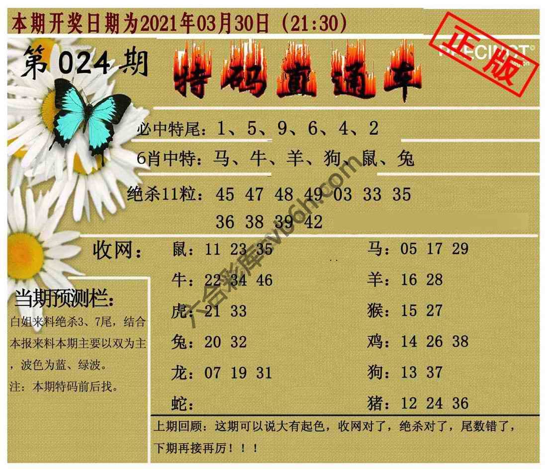 特码直通车