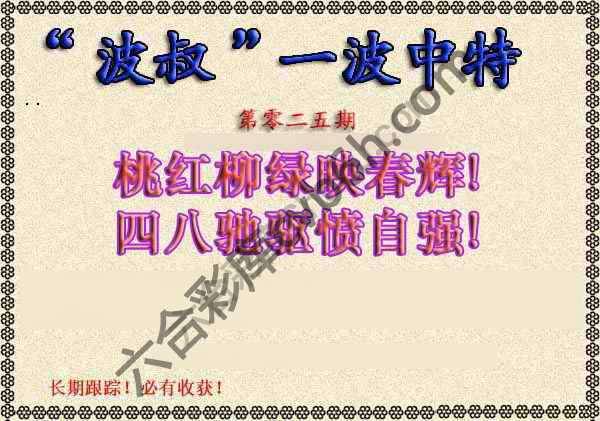 波叔一波中特