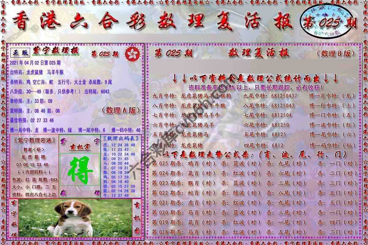 数理复活报