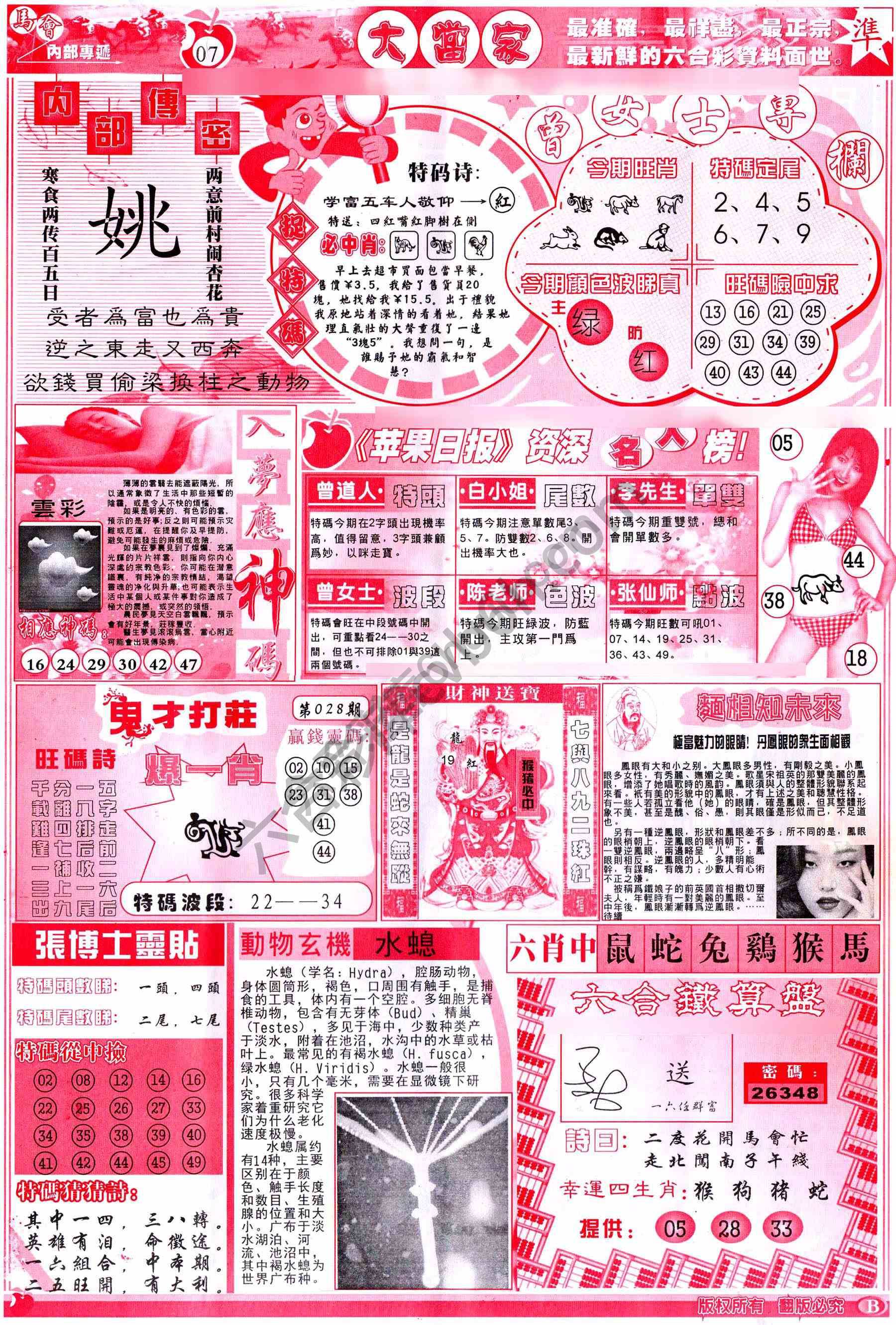大当家