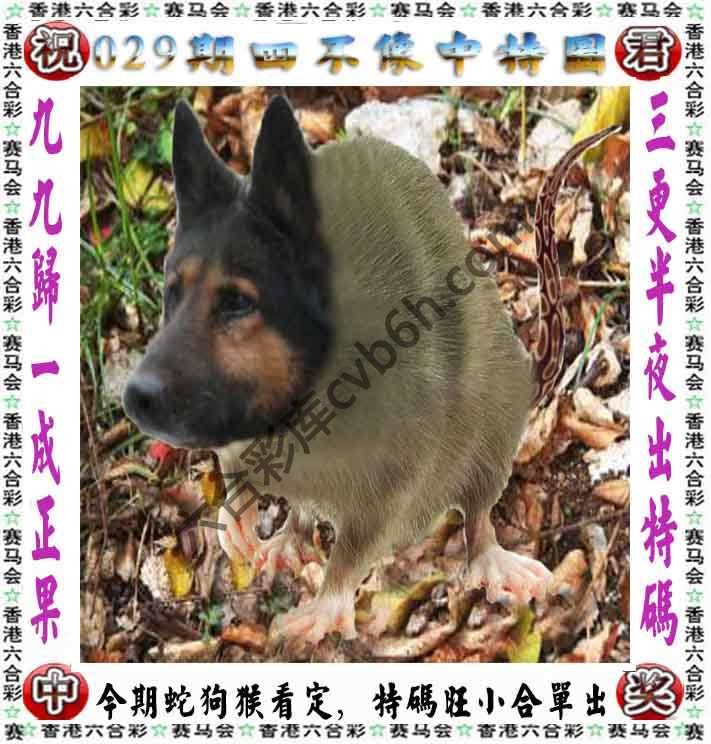 四不像中特图