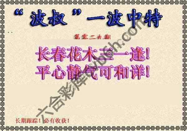 波叔一波中特