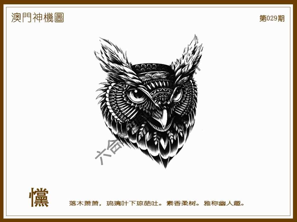 澳门神机图