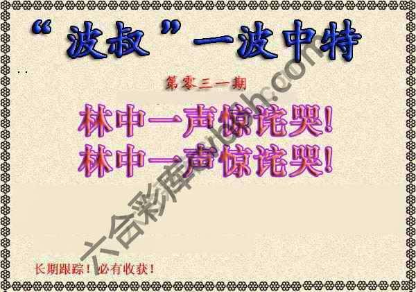 波叔一波中特