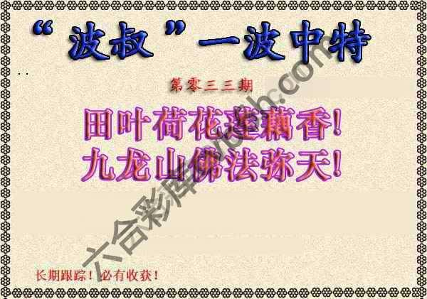 波叔一波中特