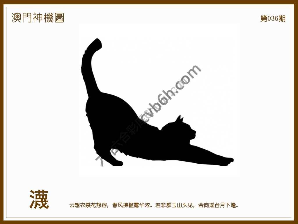 澳门神机图