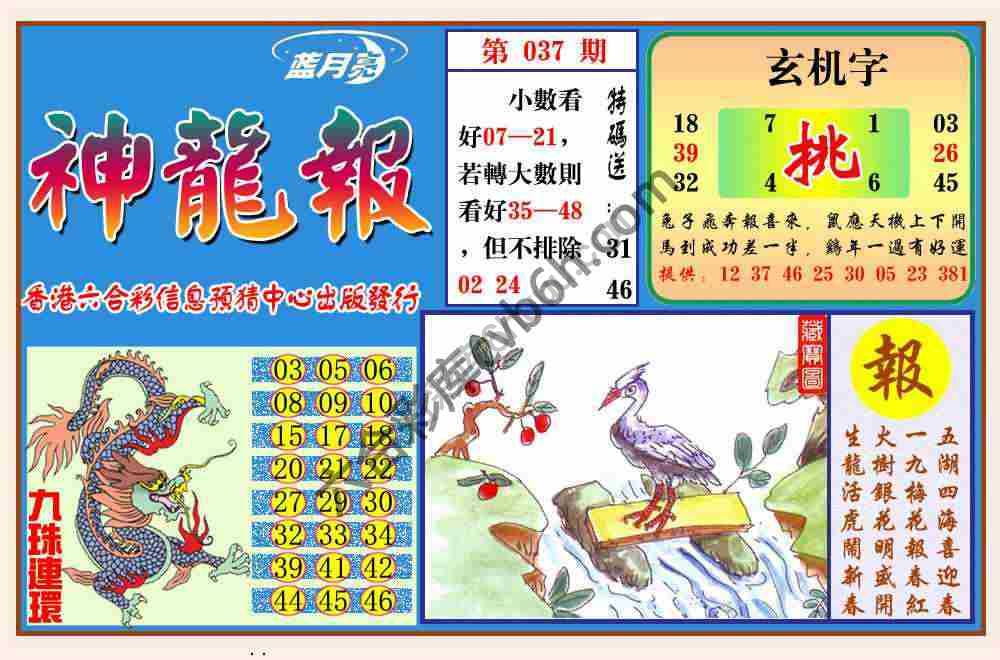 蓝月亮神龙报