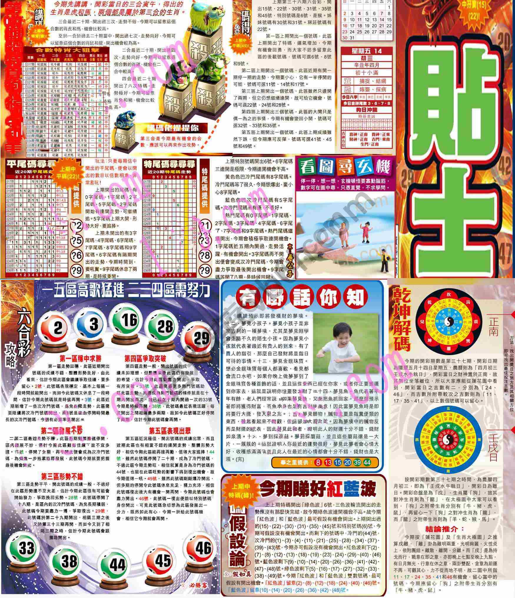 大版贴士皇