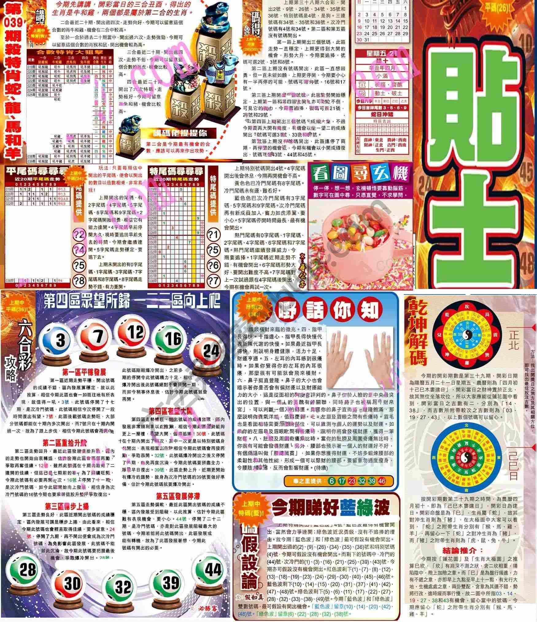 大版贴士皇