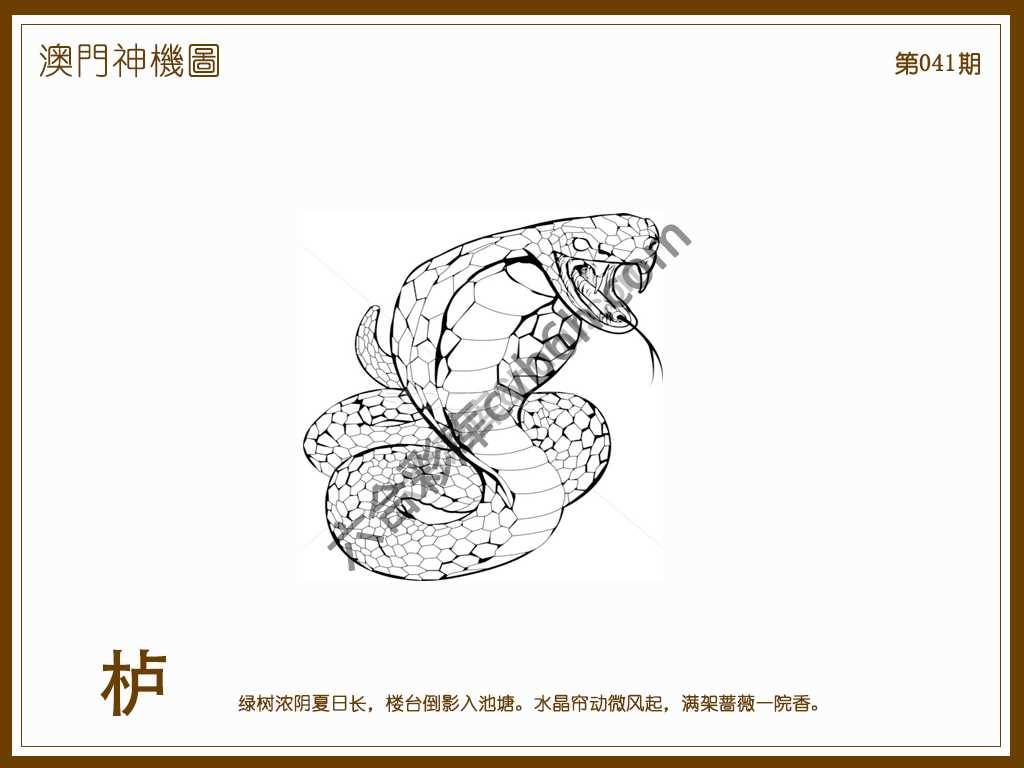 澳门神机图