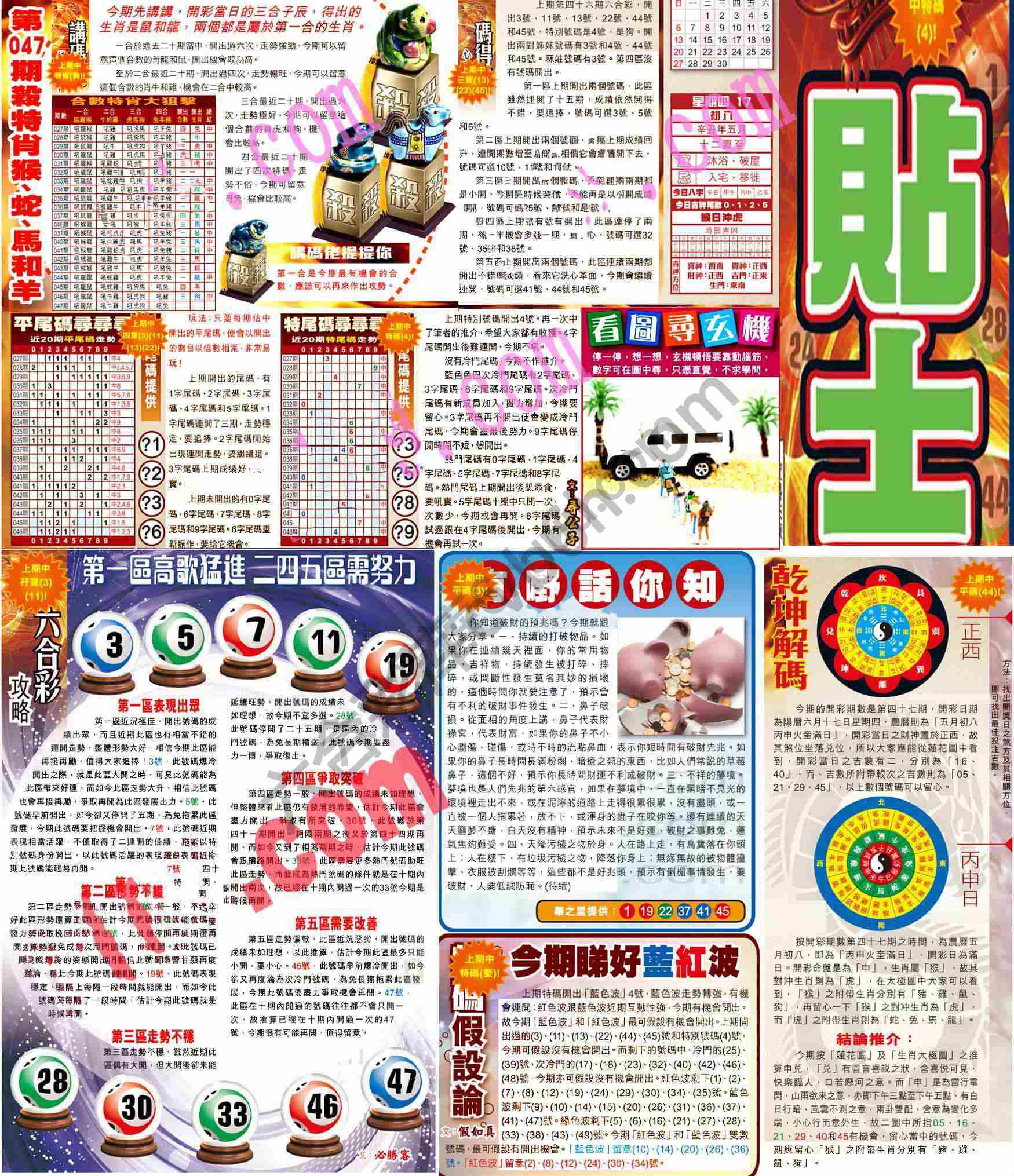 大版贴士皇