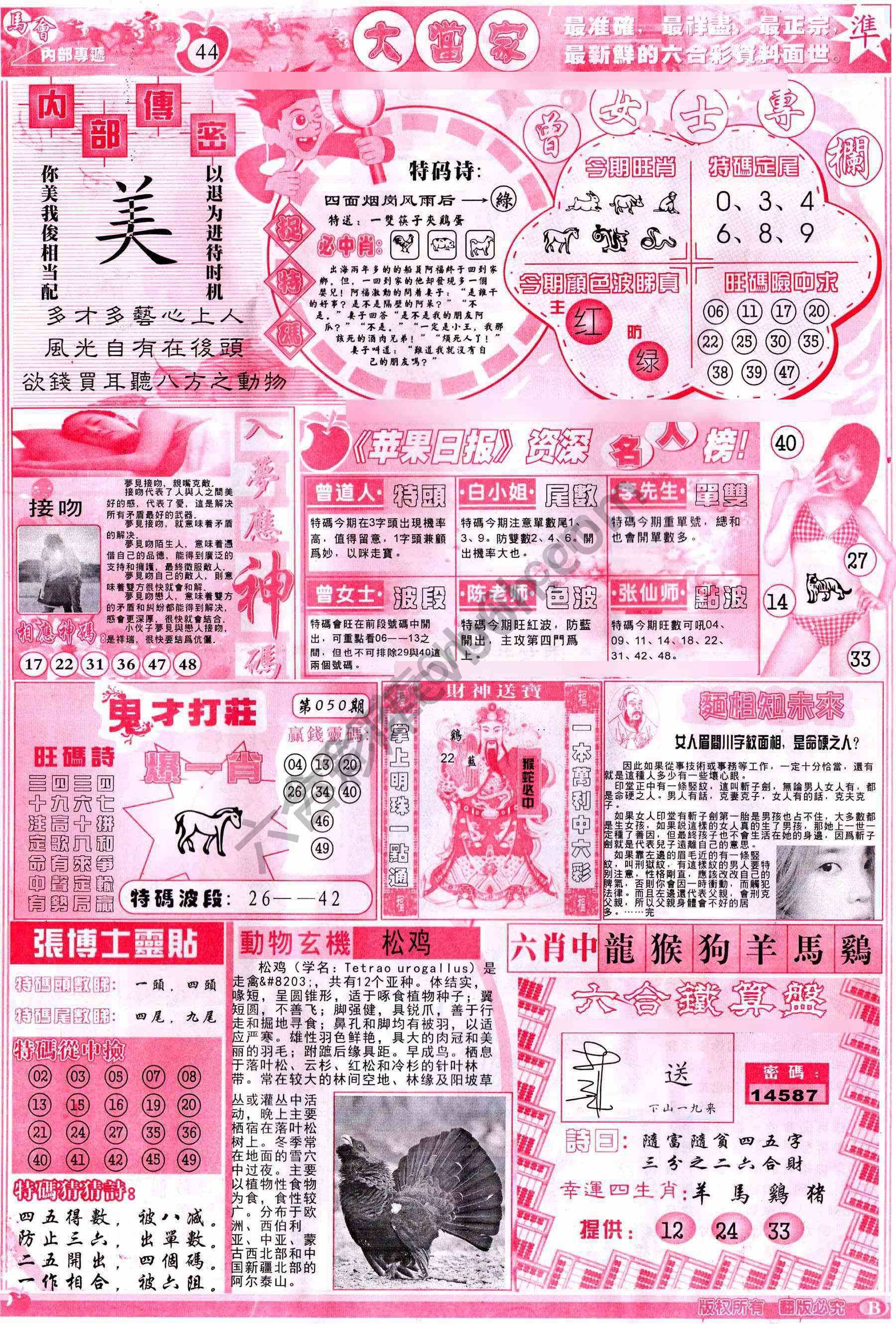 大当家