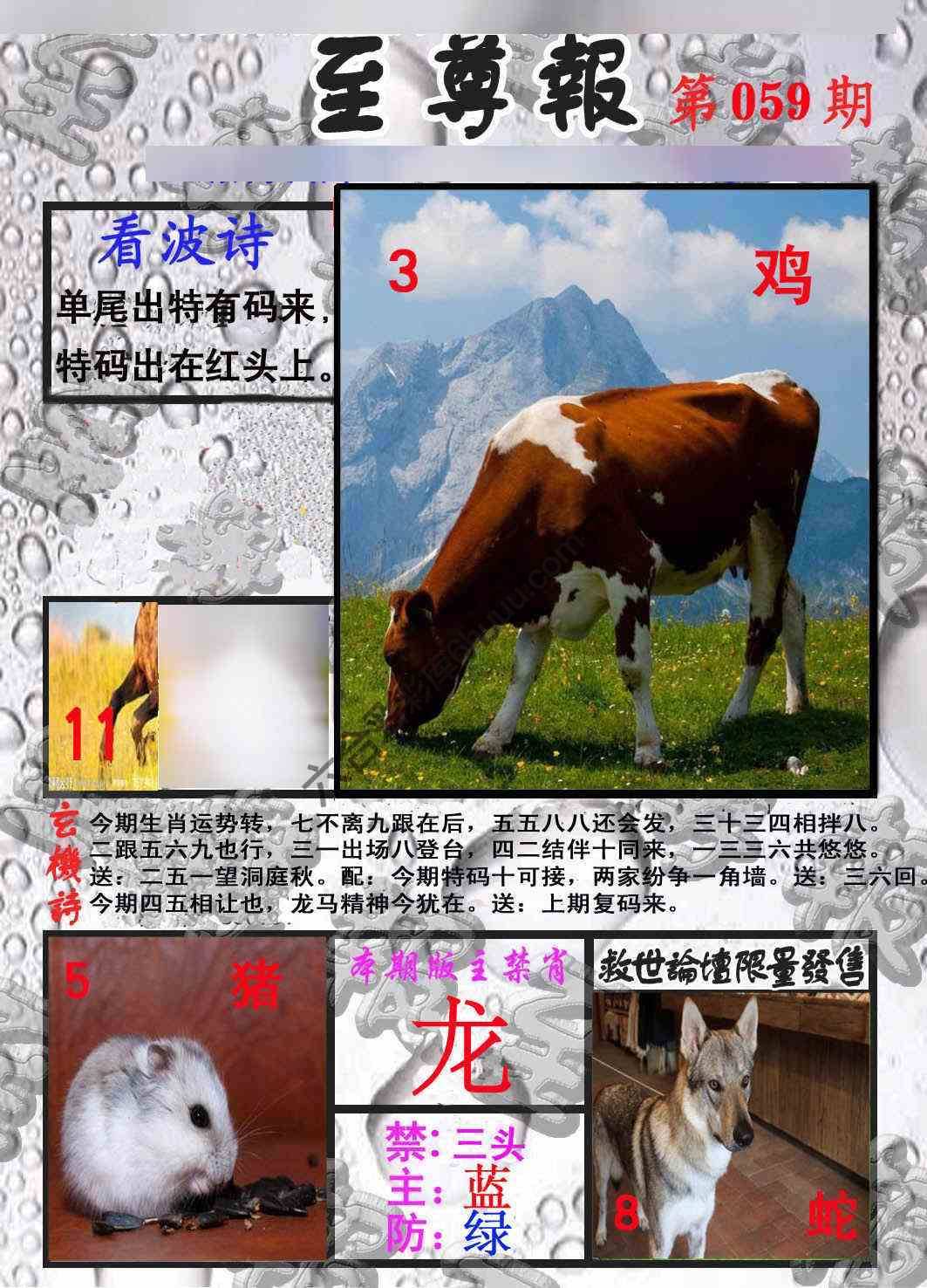 至尊报