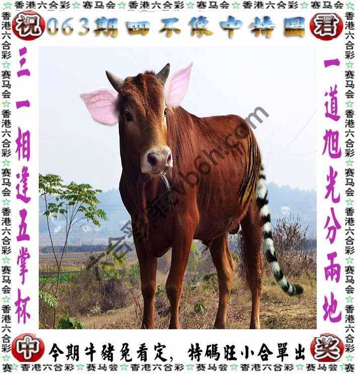 四不像中特图