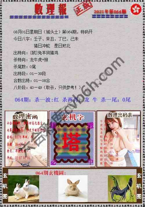 数理报