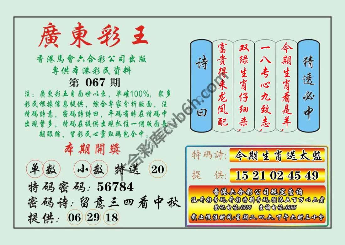 广东彩王