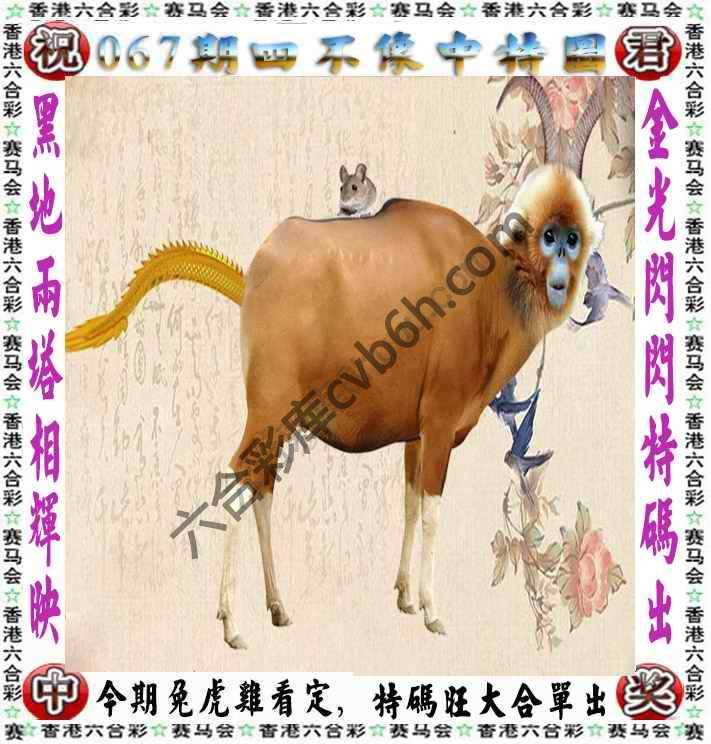四不像中特图