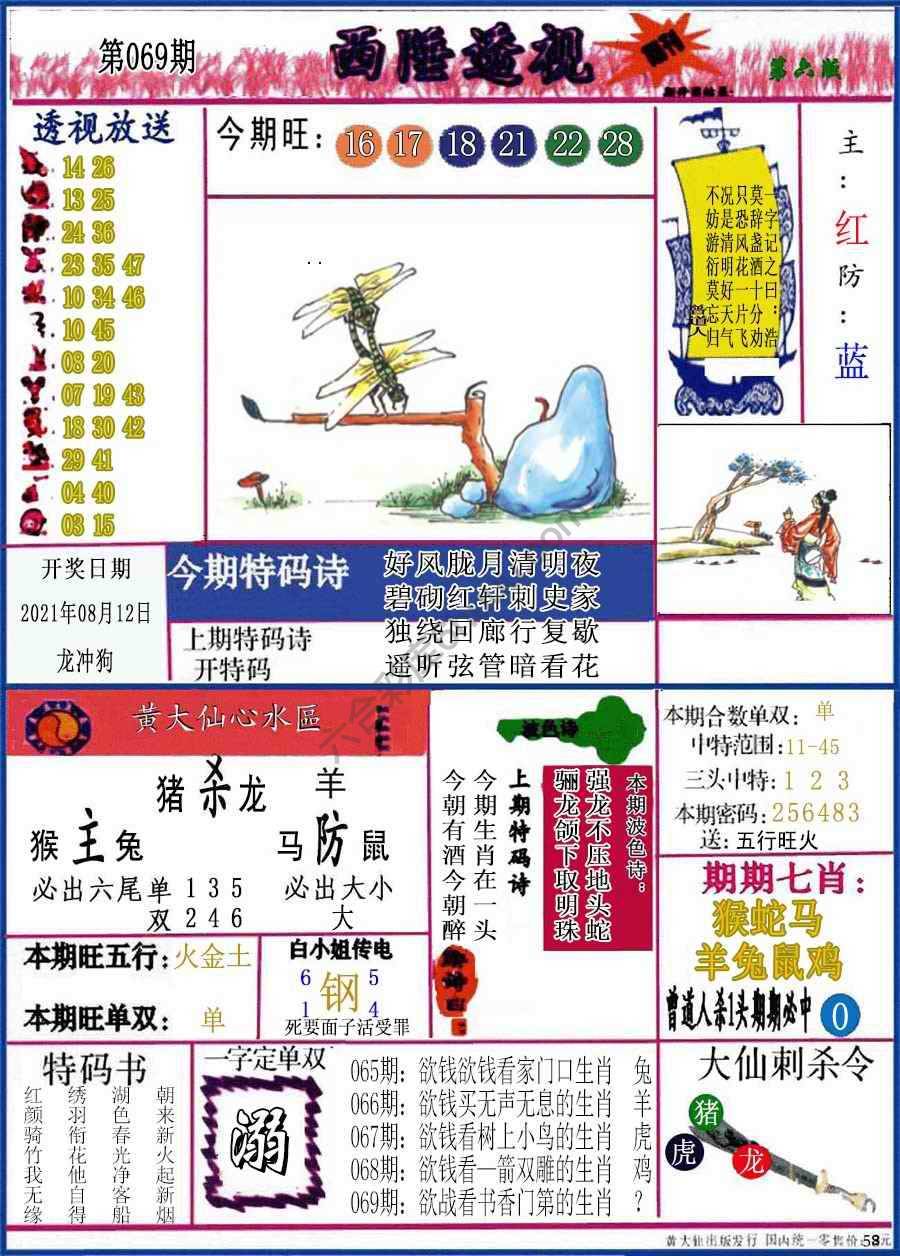 西陲透视（正版）