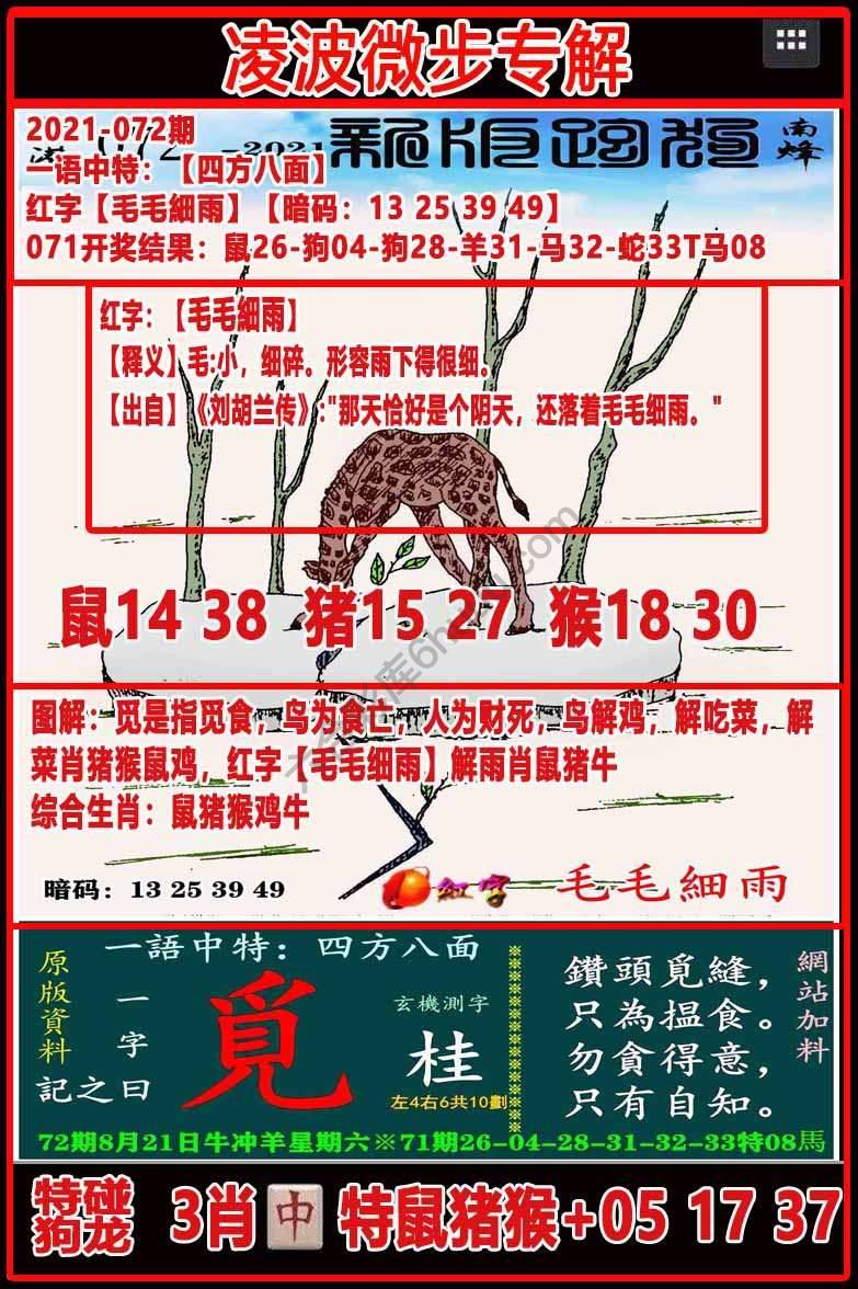 凌波微步解跑狗