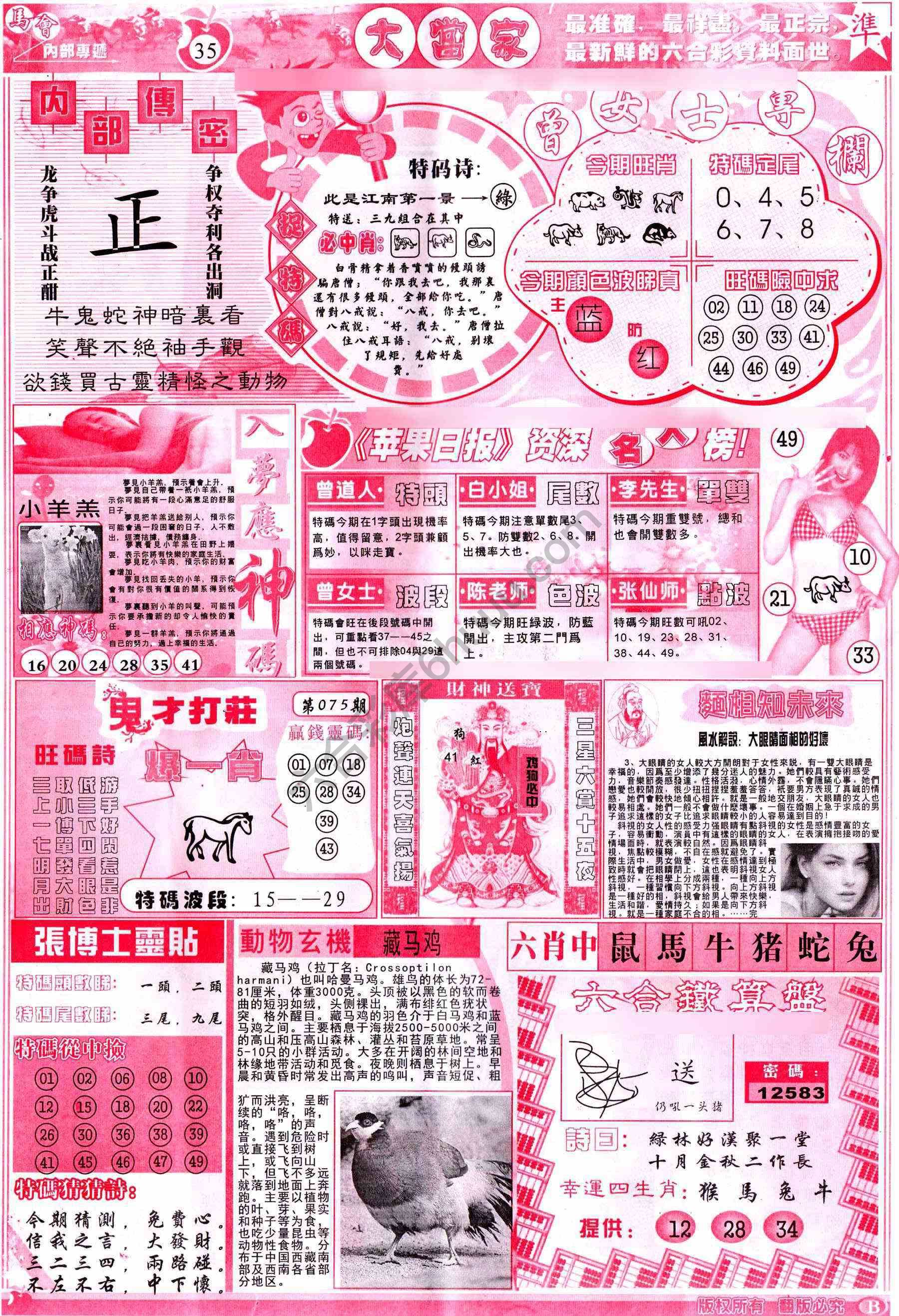 大当家