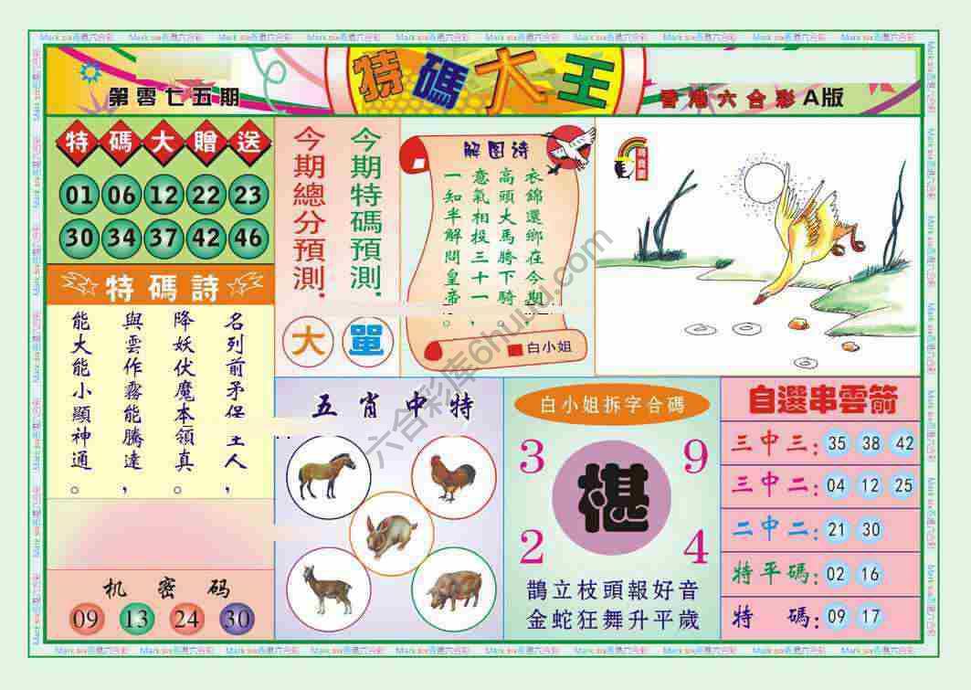 特码大王