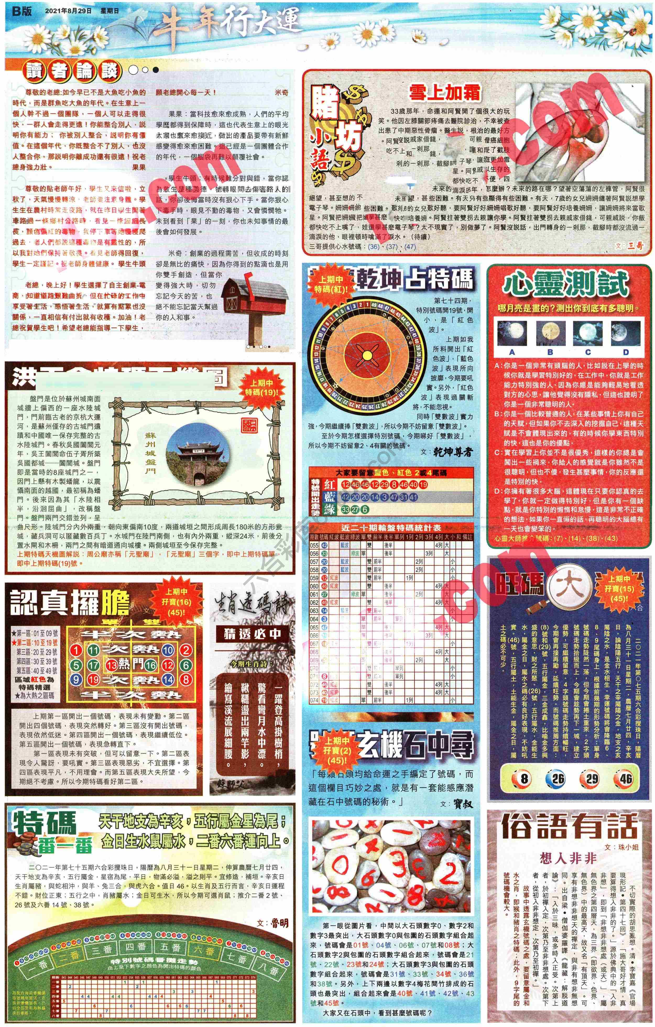 大版贴士皇
