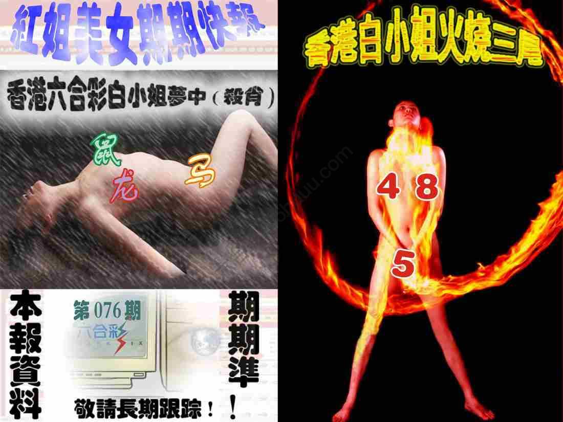 环球美女特码报