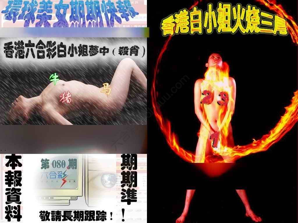 环球美女特码报