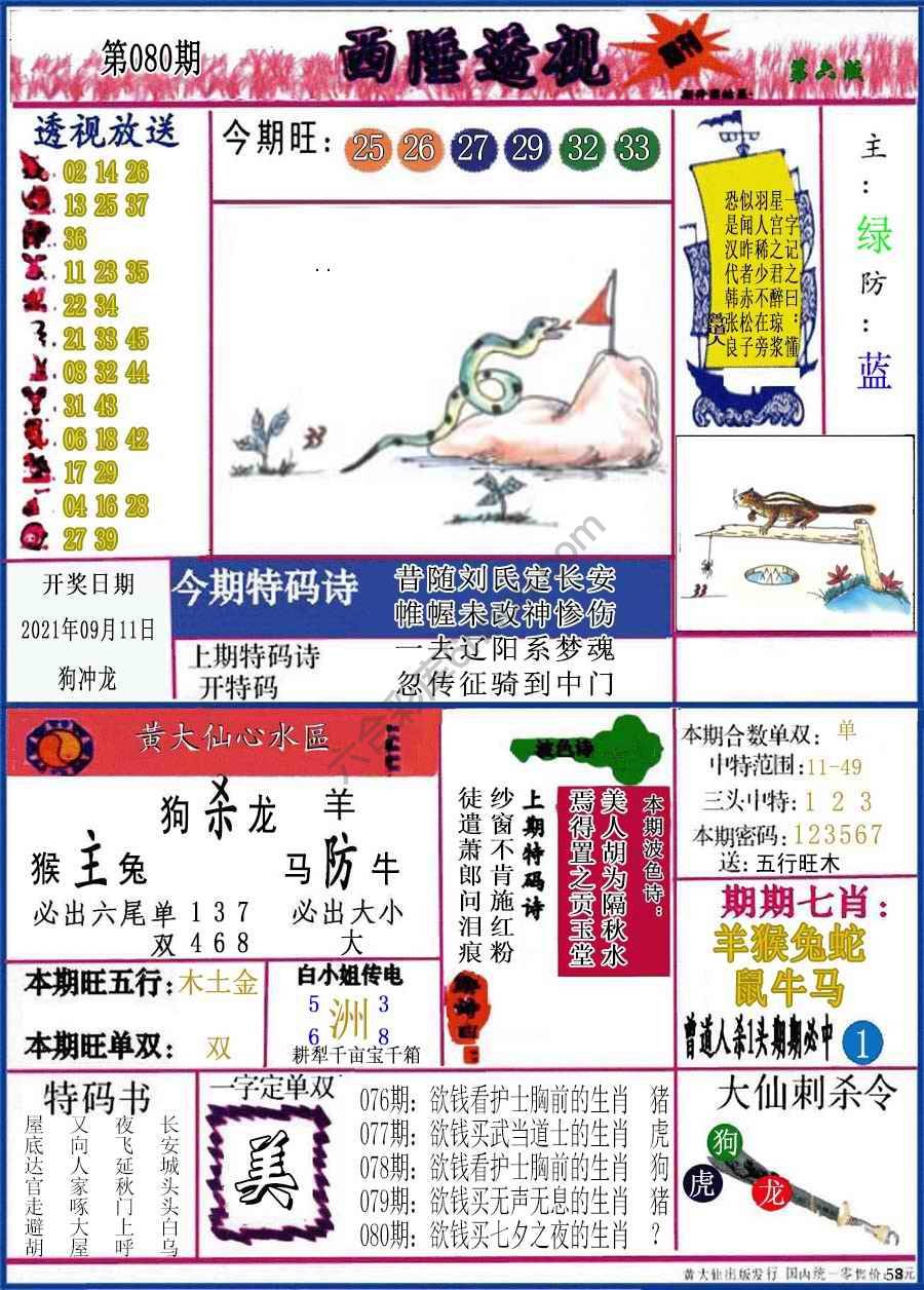 西陲透视（正版）