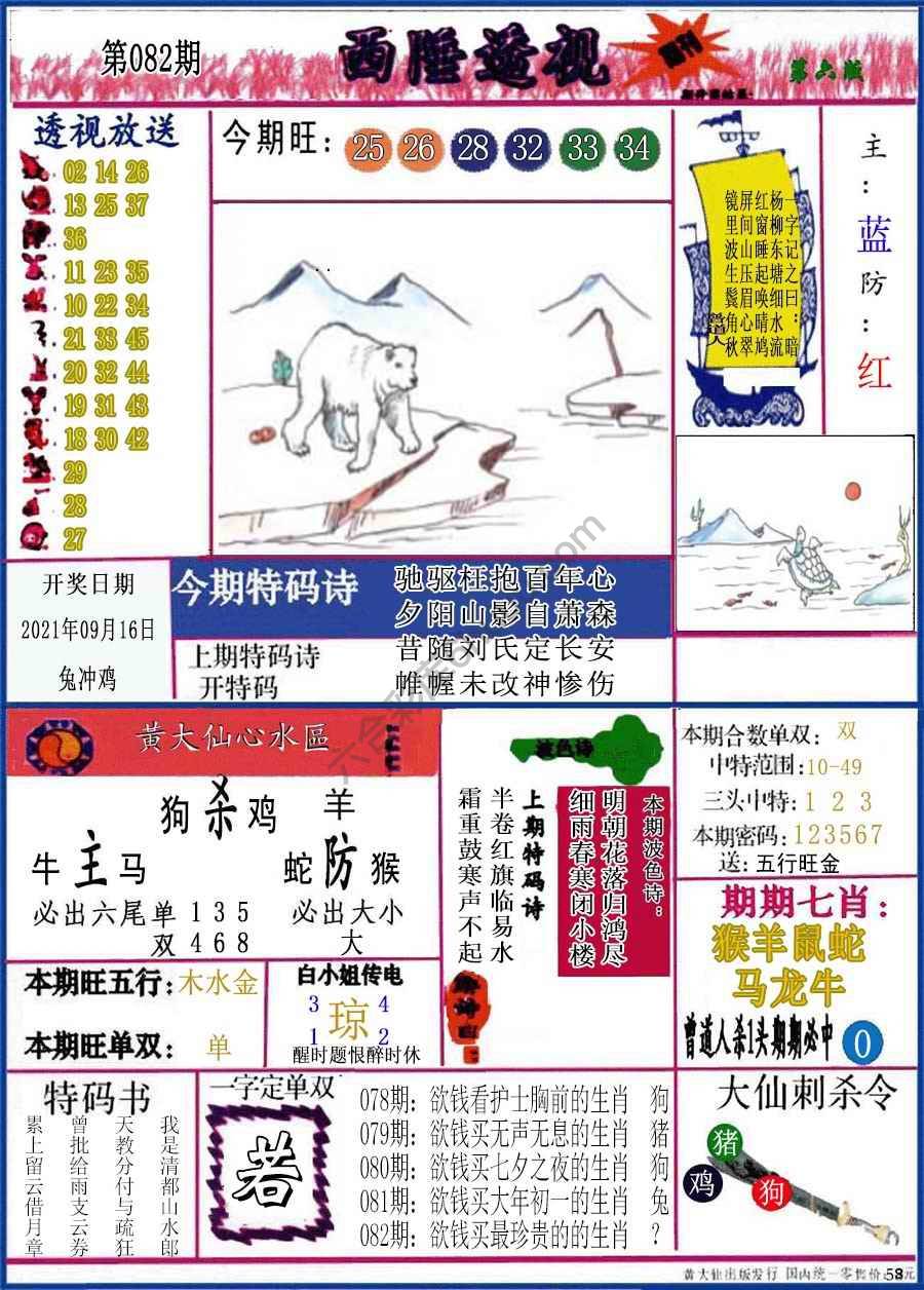 西陲透视（正版）