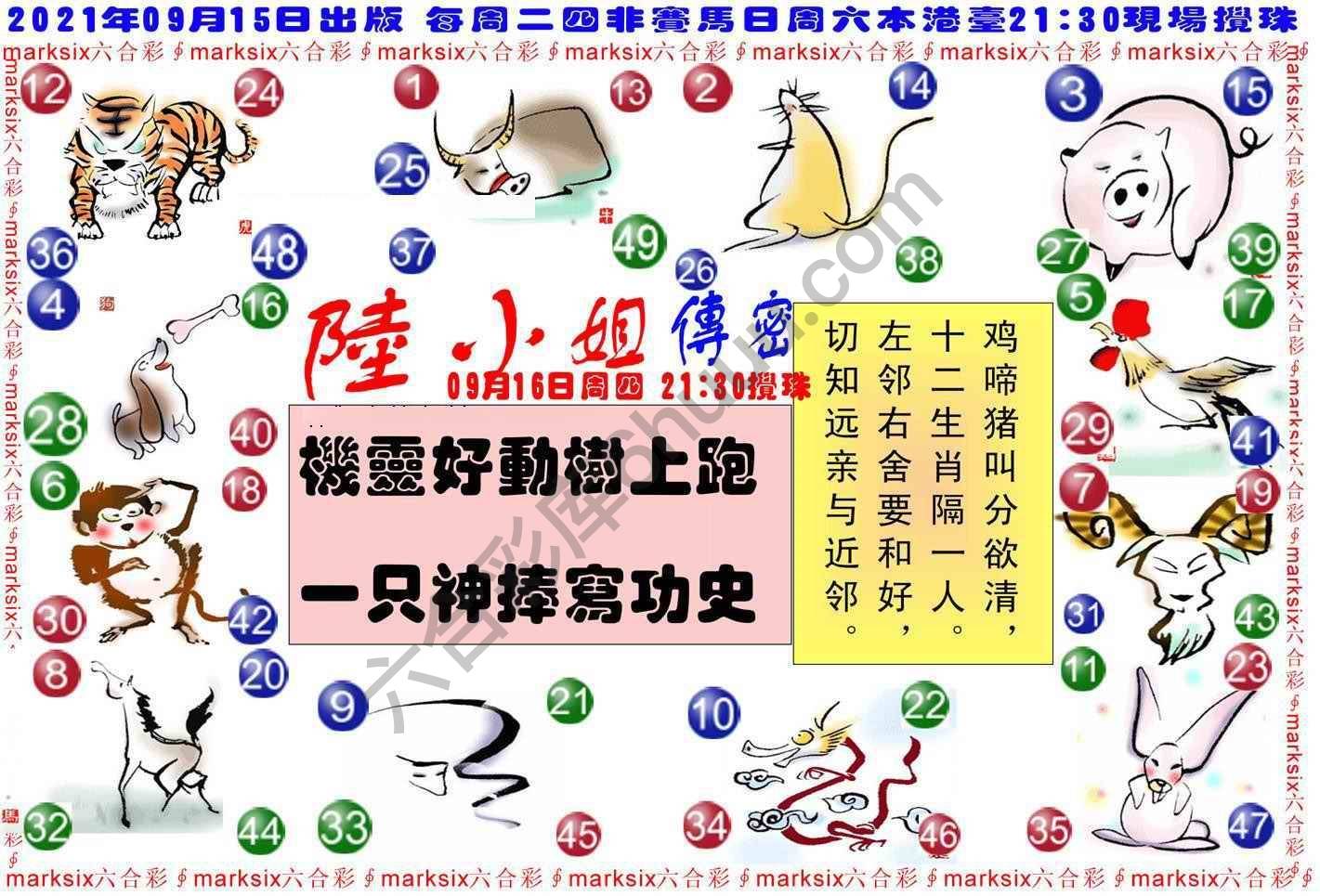 陆小姐传密