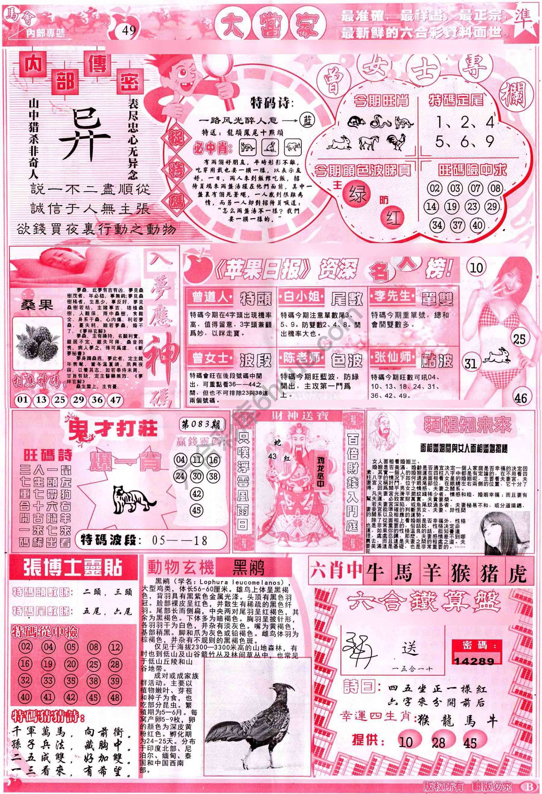 大当家